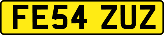 FE54ZUZ