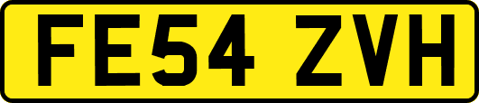 FE54ZVH