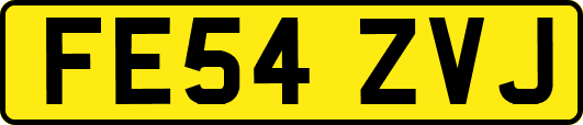 FE54ZVJ