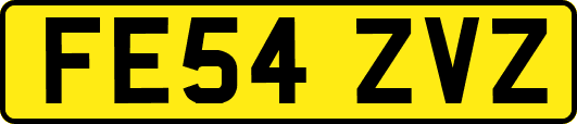 FE54ZVZ