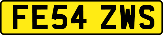 FE54ZWS