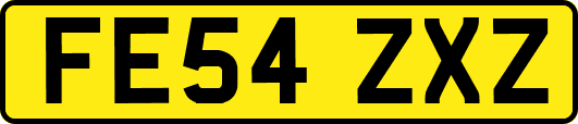 FE54ZXZ