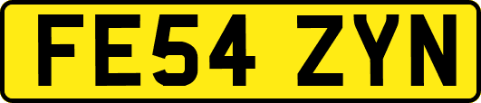 FE54ZYN
