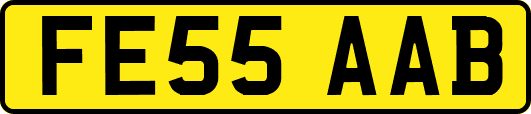 FE55AAB