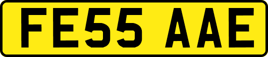 FE55AAE