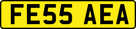 FE55AEA