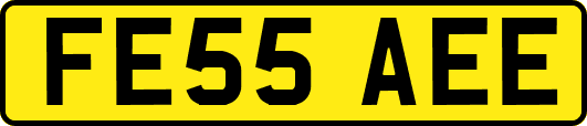 FE55AEE