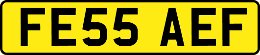 FE55AEF