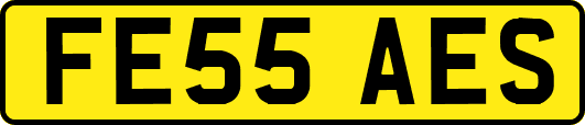 FE55AES