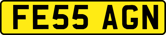 FE55AGN