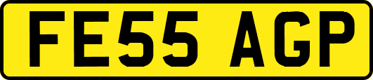 FE55AGP