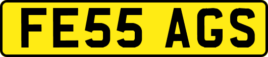 FE55AGS