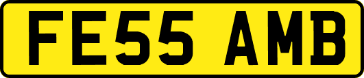 FE55AMB