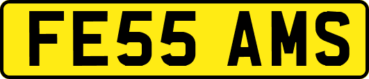 FE55AMS