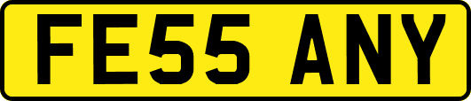 FE55ANY