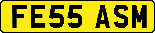 FE55ASM