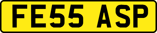 FE55ASP