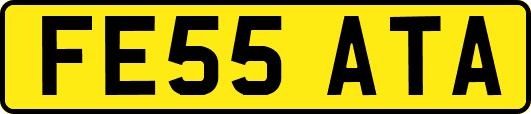 FE55ATA