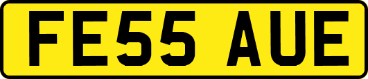 FE55AUE
