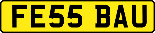 FE55BAU