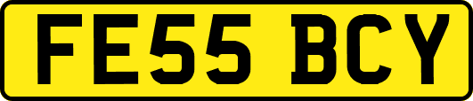 FE55BCY
