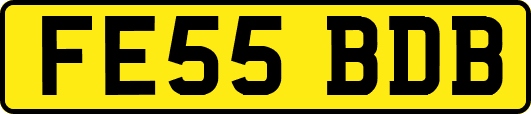 FE55BDB