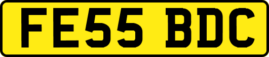 FE55BDC