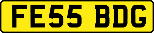 FE55BDG