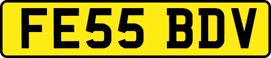 FE55BDV