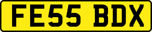 FE55BDX