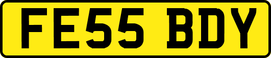 FE55BDY