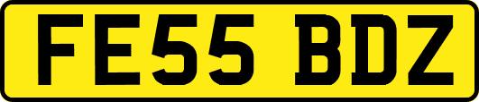 FE55BDZ