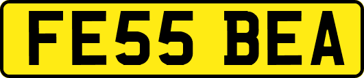 FE55BEA