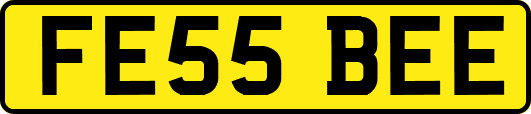 FE55BEE