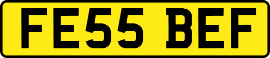 FE55BEF