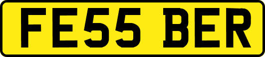 FE55BER