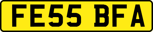 FE55BFA