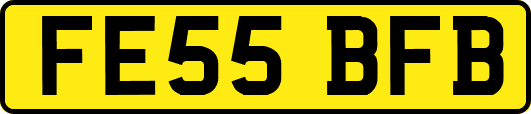 FE55BFB
