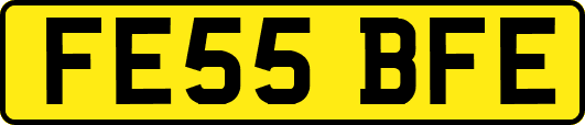 FE55BFE