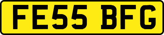 FE55BFG