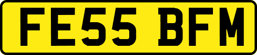 FE55BFM