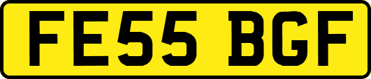 FE55BGF