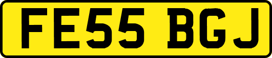 FE55BGJ