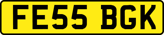 FE55BGK