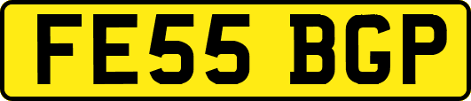 FE55BGP