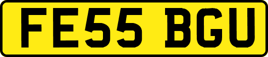 FE55BGU
