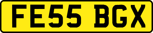 FE55BGX