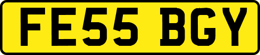 FE55BGY