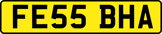 FE55BHA
