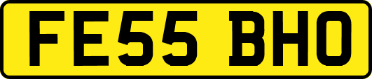 FE55BHO